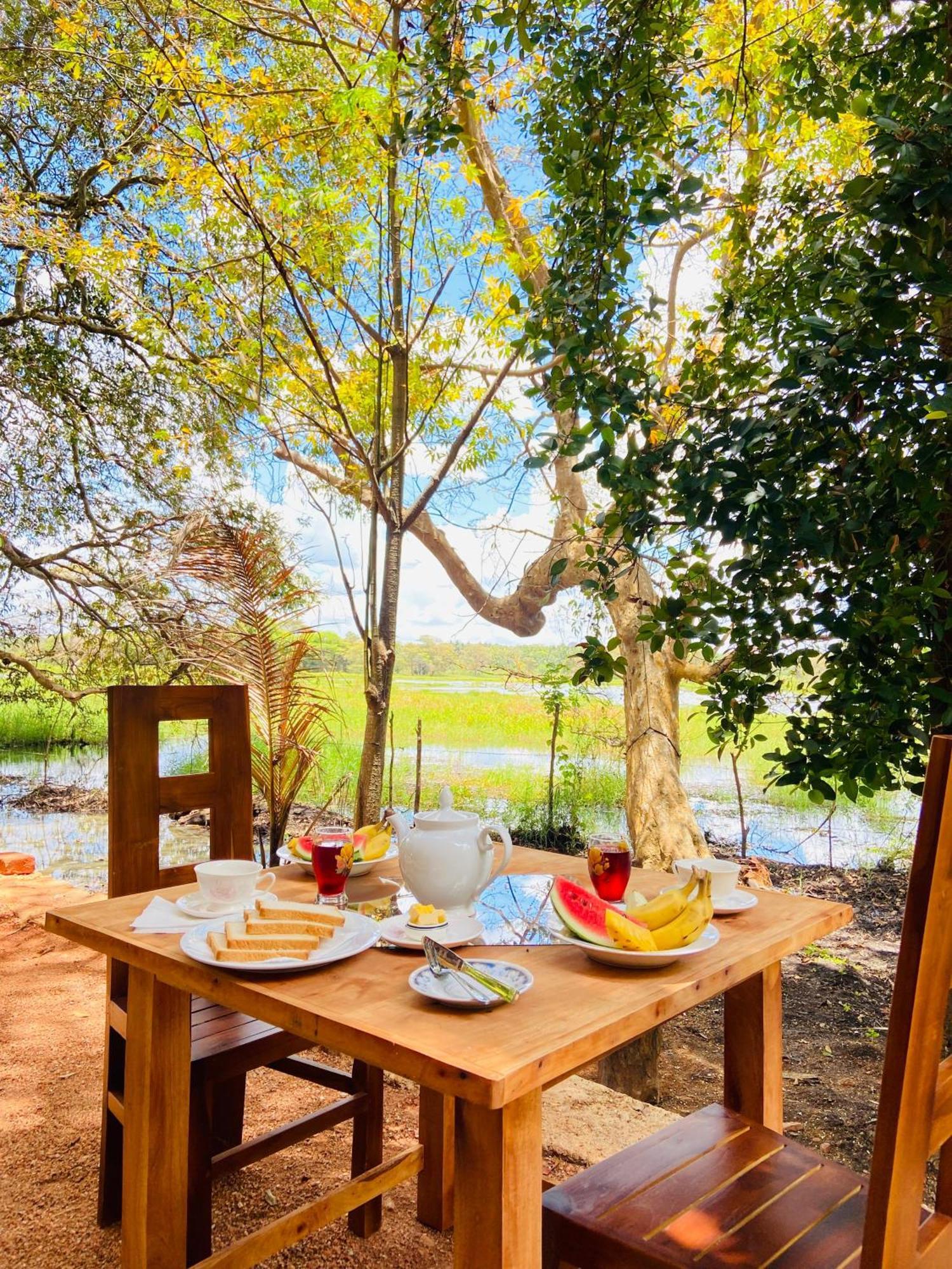 Nature Lotus Villa ダンブッラ エクステリア 写真