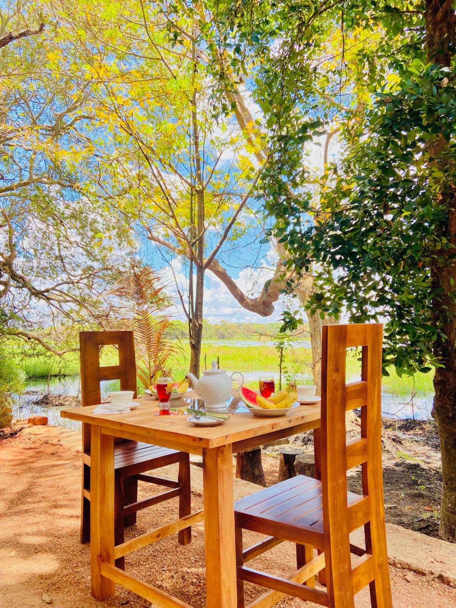Nature Lotus Villa ダンブッラ エクステリア 写真