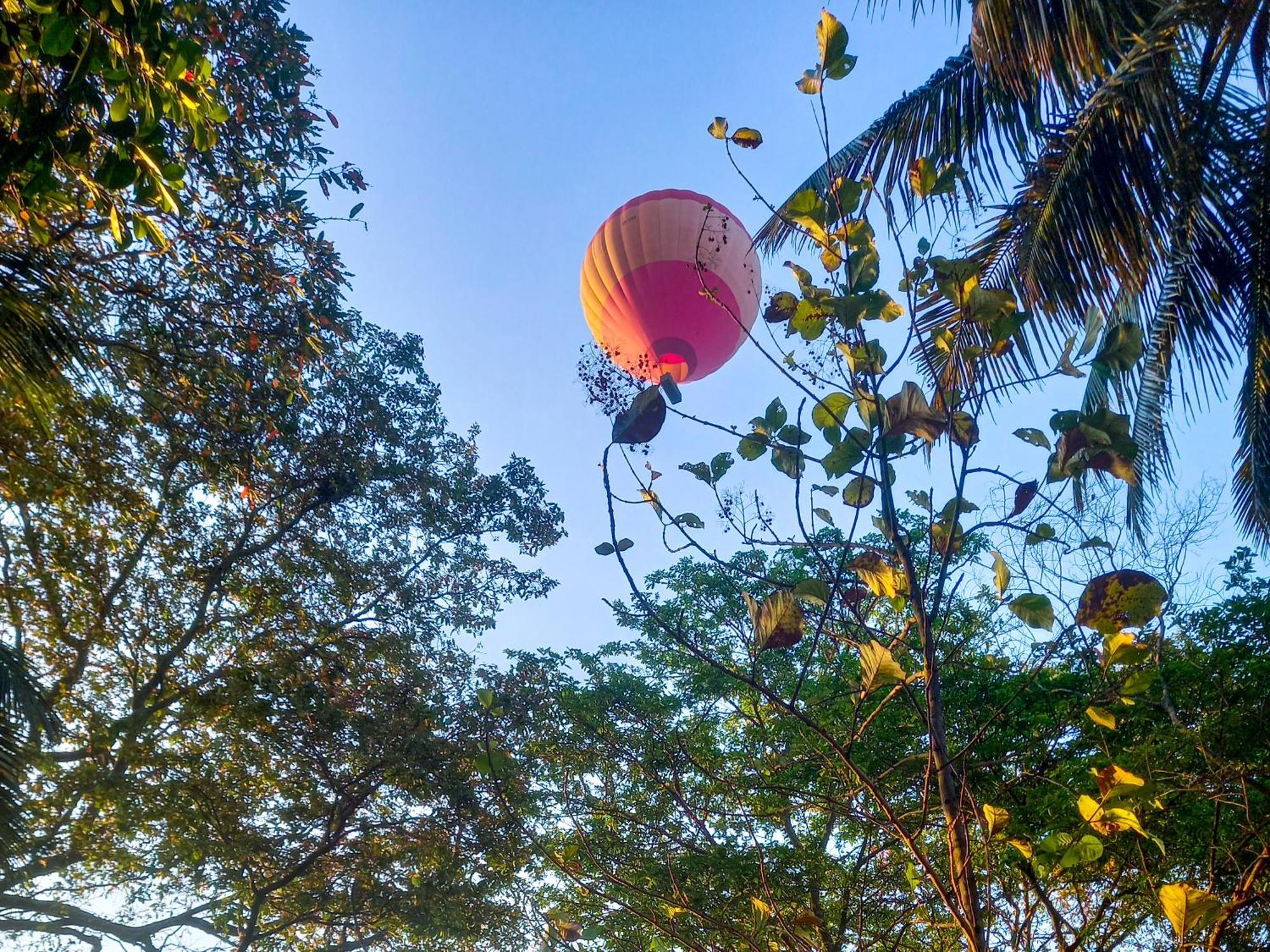 Nature Lotus Villa ダンブッラ エクステリア 写真