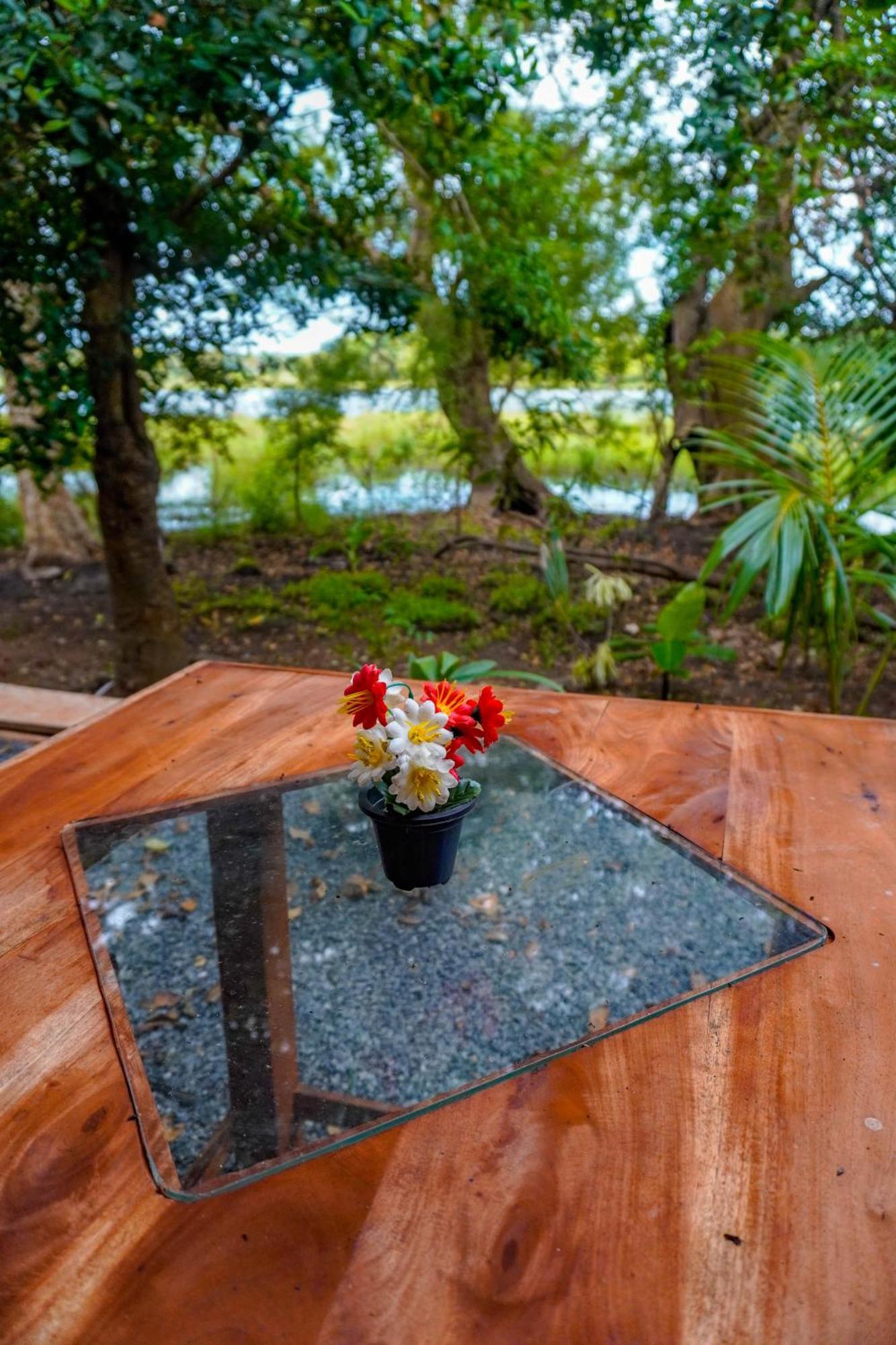 Nature Lotus Villa ダンブッラ エクステリア 写真