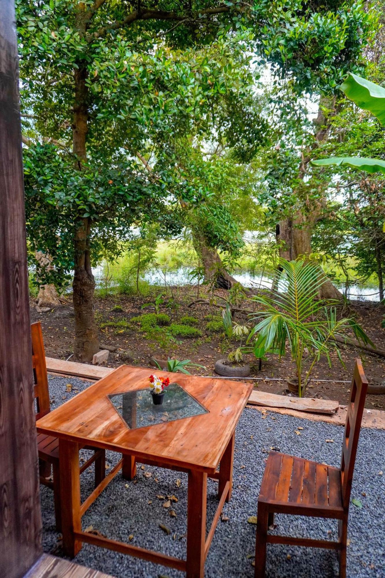 Nature Lotus Villa ダンブッラ エクステリア 写真