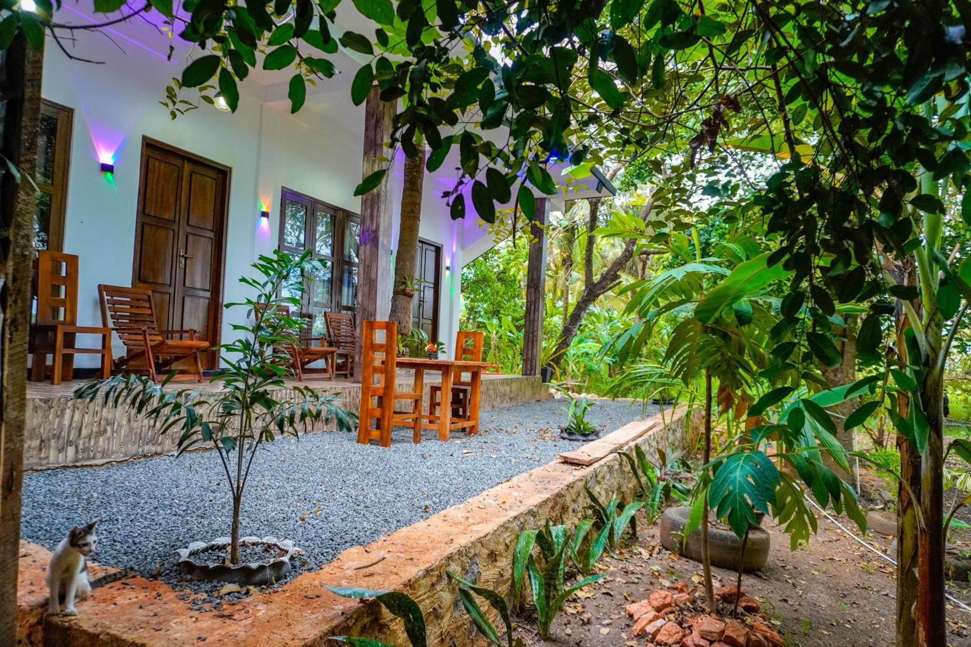 Nature Lotus Villa ダンブッラ エクステリア 写真