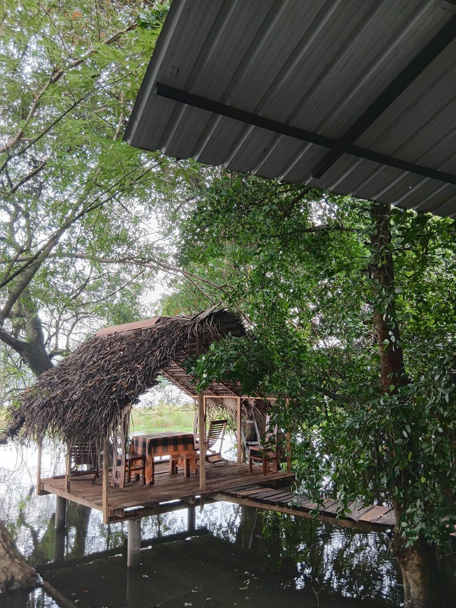 Nature Lotus Villa ダンブッラ エクステリア 写真