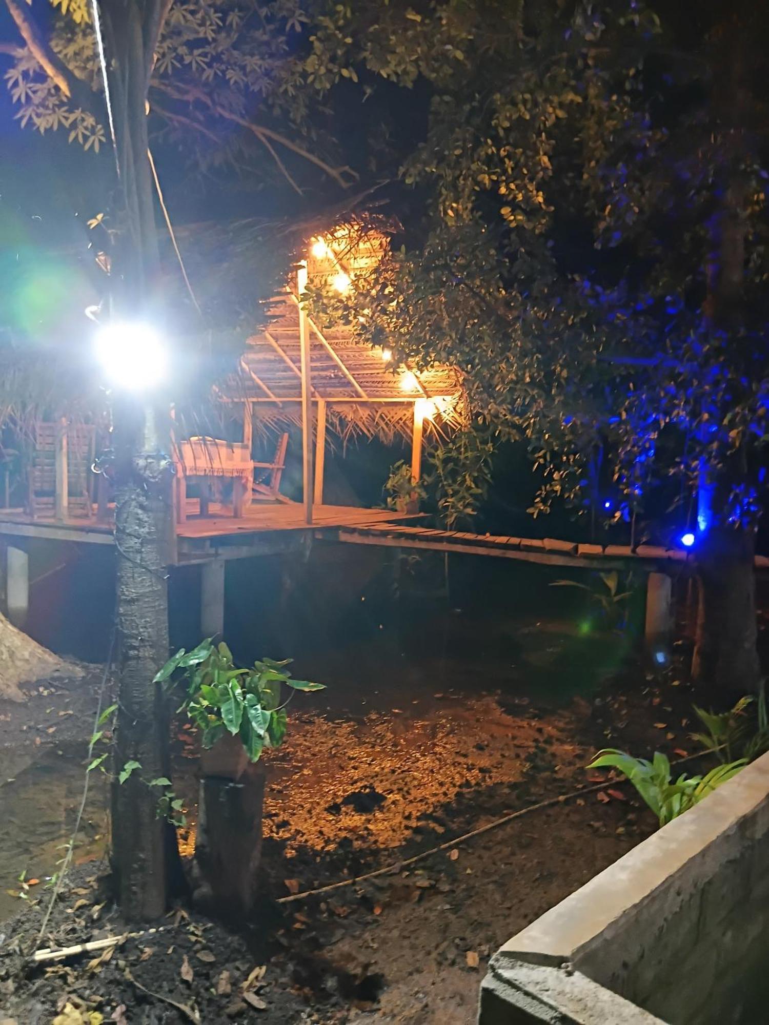 Nature Lotus Villa ダンブッラ エクステリア 写真